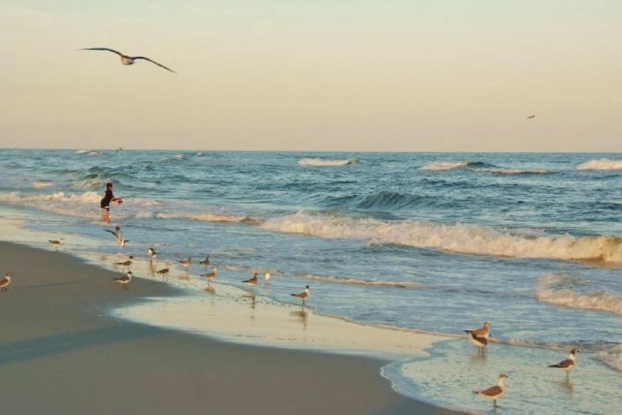 Ocean Reef 110 Apartman Gulf Shores Kültér fotó